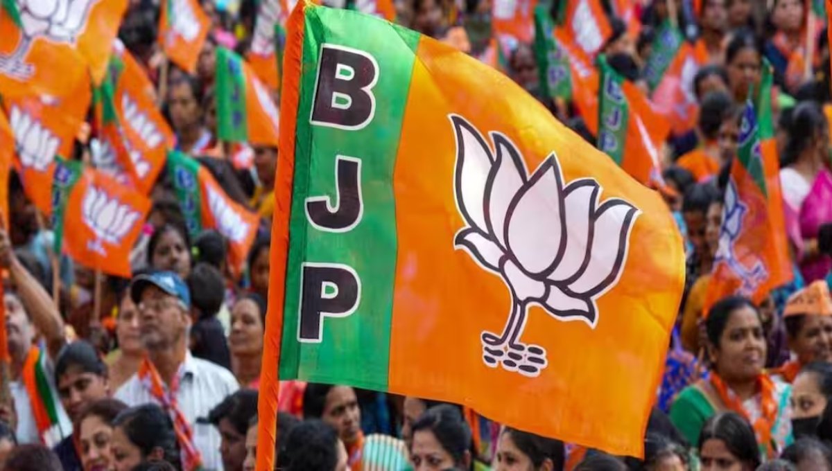 MLC Election Results