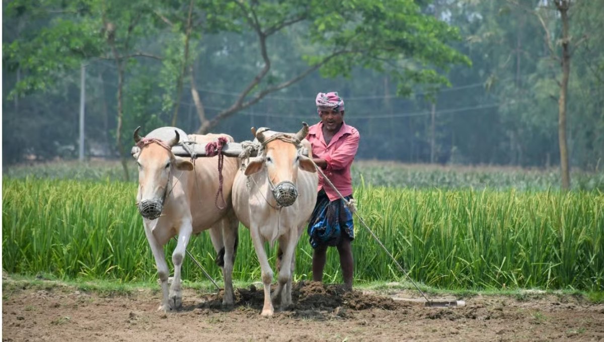 PM Kisan